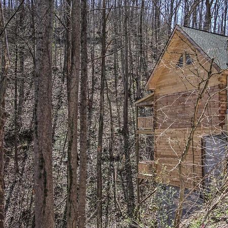 The Phoenix Cabin With Hot Tub In Gatlinburg! Экстерьер фото